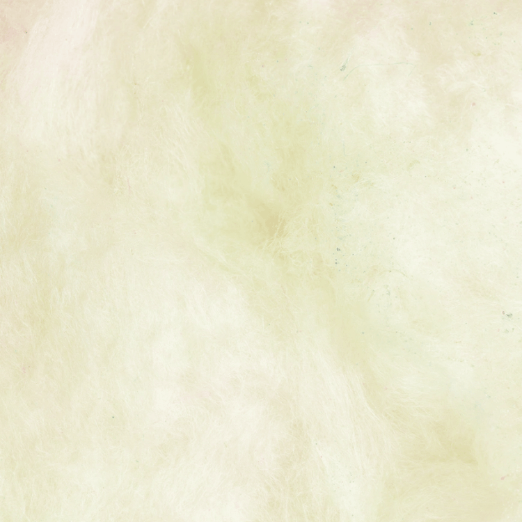 Flossie Champagne Cotton Candy