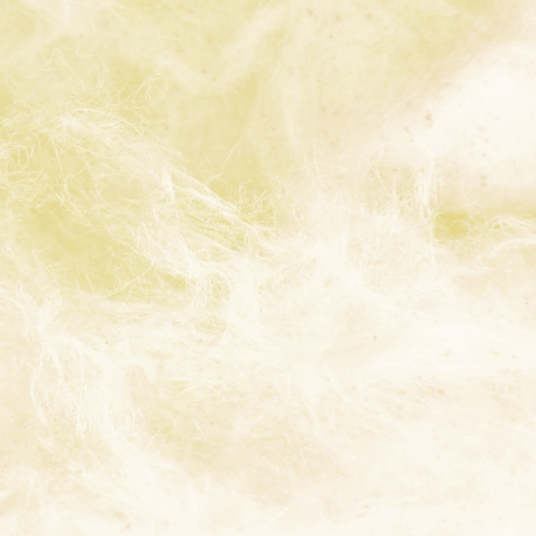 Flossie Sour Lemon Cotton Candy